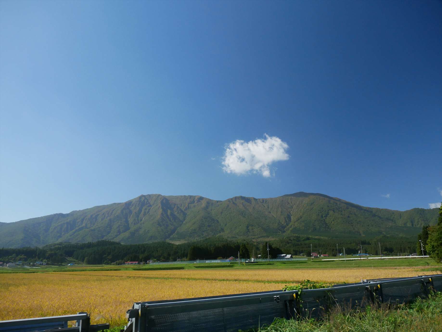 2019年10月13日14日